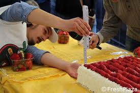 Check spelling or type a new query. Italy Guinness World Record For The Longest Strawberry Cake