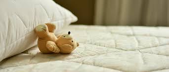 5 einfache tipps und tricks, um das wir zeigen ihnen wie sie erfolgreich ungeziefer im bett und im haus bekämpfen und welche mittel gegen. Ein Heim Fur Tiere Aber Doch Nicht Fur Schadlinge Auf Ihrer Matratze