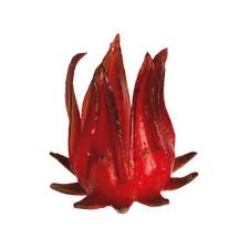 Jan 02, 2021 · you should refrain from this plant if you are on blood pressure medication or involved with hormonal therapy. Wild Hibiscus Flower In Syrup Cambree Notes