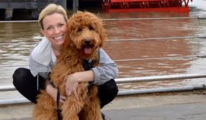 If you are looking to adopt or buy a goldendoodle take a look here! Red Goldendoodle Puppies In Michigan By Brooke View Doodles Red Mini Goldendoodles