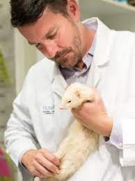 Gary riggs is board certified in avian practice by the american board of veterinary … Avian Exotics Medicine Bluepearl Pet Hospital