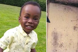 Wigan Council housing to be reviewed for "hazards" following tragic death  of toddler