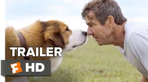 it s national dog day today and hey what better way to celebrate man s best a dogs purpose movie a dogs purpose dog movies