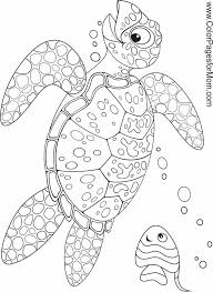 Seascape Ocean Coloring Page 34 Turtle Coloring Pages Ocean Coloring Pages Coloring Pages