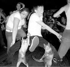 Cat Memes Only If Your Party Ain T This Lit Don T Even Bother