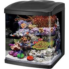 How to make a coral aquarium. Best Saltwater Aquariums Of 2020
