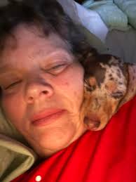 Hi We are Oscar Willie and Sherman We are immensely loved by our parents We  love to be together ❤ We love to go