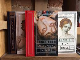 被解剖的女人和她的创造者_搜狐网