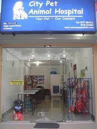 Our staff of animal lovers will treat your pet like one of their own. City Pet Animal City Pet Animal Hospital Athurugiriya Facebook