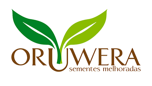 Oruwera Logo