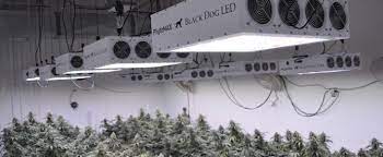 — lights / brands from video — photontek: Best Led Grow Lights 2021 Estagecraft