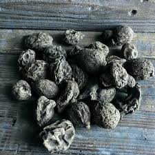 The spirit of high john supports the properties of success, luck, strength, and it also helps to overcome obstacles. High John The Conqueror Root Ritualcravt Metaphysical Witchy Wares