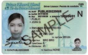 Get prepared for the transport canada. 0504 Driver S Licence Pei Association For Newcomers To Canada