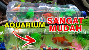Cara membuat aquarium dari barang bekas untuk ikan cupang. Cara Membuat Aquarium Dari Barang Bekas Youtube