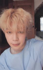 Jimin Love Yourself 承 Her Photocard Version L Bts Concept Photo Jimin Photocard