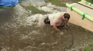 Top 20 Melhores Gifs De Gordo Dia Do Gordo Papo De Gordo