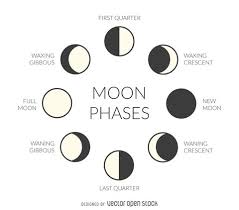 Learn The Phases Of The Moon Moon Phases Drawing Moon Phases Moon Phases Tattoo
