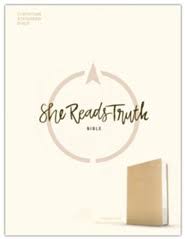 Day 36 this is the old testament amos. Csb She Reads Truth Bible Soft Leather Look Rose Gold Raechel Myers Amanda Bible Williams 9781535970990 Christianbook Com
