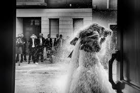 Check spelling or type a new query. Fotografos Unicos Y Especiales 2021 Imagenes De Alta Calidad