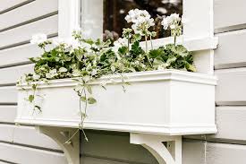 The flower window boxes found on the site are printed using offset printing technology to make the designs, color and prints look appealing and aiding them to last long. Diy Self Watering Window Box She Holds Dearly