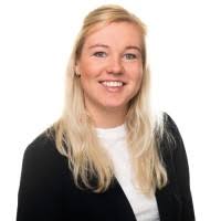 90+ 'Niehoff' profiles