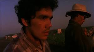 Amazon.com: ¡Alambrista! (The Criterion Collection) [Blu-ray] : Ned Beatty,  Trinidad Silva, Edward James Olmos, Robert M. Young, Julius Harris, Robert  M. Young: Movies & TV