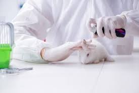 We did not find results for: What Are The Alternatives To Animal Testing Live Science