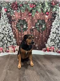 Hidden Creek Farm, LLC