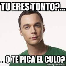 Meme Sheldon Cooper - tu eres tonto?... ...o te pica el culo? - 2804356