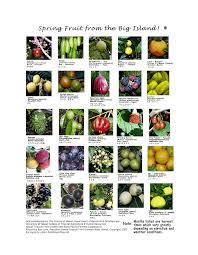 In summer, you'll get mango, passion fruit, and dragon fruit. Pin On Hawaii S Big Island