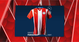 Camiseta selección italia 2020 puma verde alternativa t: Puma Presenta La Nueva Camiseta De La Albirroja Venus Media