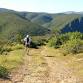 Addo Elephant Trail Run event image