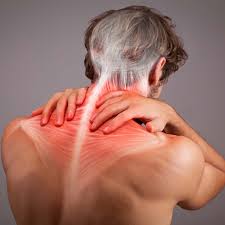 Image result for Neck Pain