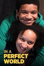 In a Perfect World (2015)