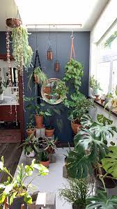 Self Care Through Creating A Sacred Space Sacred Elements Video Video Plant Decor Indoor House Plants Decor Room Decor