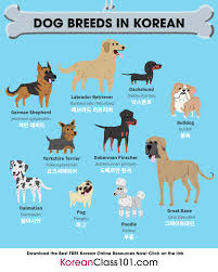 Learn Korean Koreanclass101 Com Dog Breeds Learn Korean Korean Language