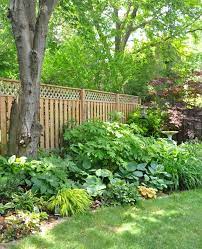 Three Dogs In A Garden A Shade Garden In Oakville Ontario Shade Landscaping Shade Garden Design Shade Garden