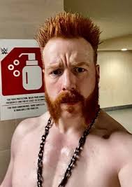 Stephen "Sheamus" Farley Fan Casting