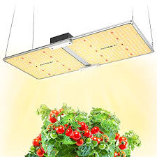 Phlizon 2000w cob design review. Review For Maxsisun 200w Grow Light Remote Control Dimmable Pb 2000 Pro Led Grow Lights For Indoor Plants Full Spectrum High Performance Samsung Diodes Mean Well Driver For A 3x3 Grow Tent