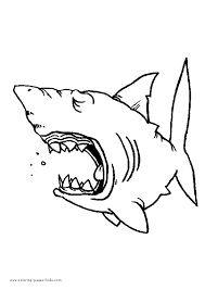 Explore 623989 free printable coloring pages for you can use our amazing online tool to color and edit the following whale shark coloring pages. Free Printable Shark Coloring Pages Coloring Home