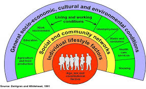 Social Model Of Health Social Determinants Of Health Health Promotion Health Literacy