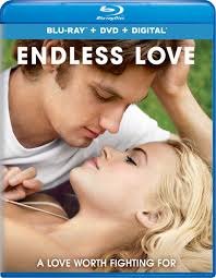 Endless Love [Blu-ray] [Import] : Pettyfer, Alex, Wilde, Gabriella, Patrick,  Robert, Greenwood, Bruce, Wakefield, Rhys, Richardson, Joely, Okeniyi,  Dayo, Enger, Anna, Feste, Shana: Amazon.ca: Films et séries télévisées