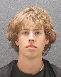 Georgia man charged with malicious damage to real property