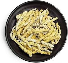 Image result for Cynanchum ledermannii