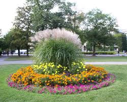 Pin On Flower Beds