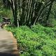 Nature Days at Columbia Springs