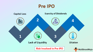 Initial public offering (ipo)disadvantages and alternatives. Pre Ipo Definition Example Risks In Pre Ipo Investment