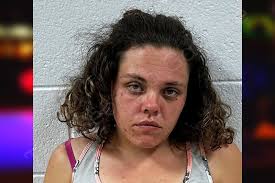 Anna Willard — Jackson County Jail Bookings