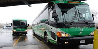 Image result for Pentas bussei