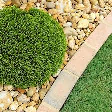 While we've always avoided answering this in writing on our website in the past because sealer prices change yearly and because there are so Landscaping Supplies Belleville Mi Yost Sand And Gravel